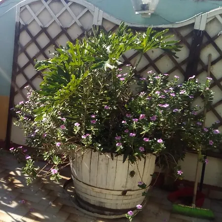 Pensionat Veroniche House Reggio di Calabria